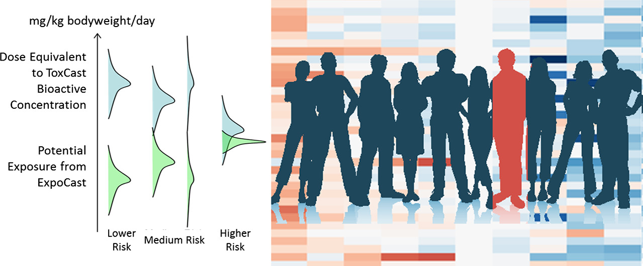 Identifying populations sensitive to environmental chemicals by simulating toxicokinetic variability