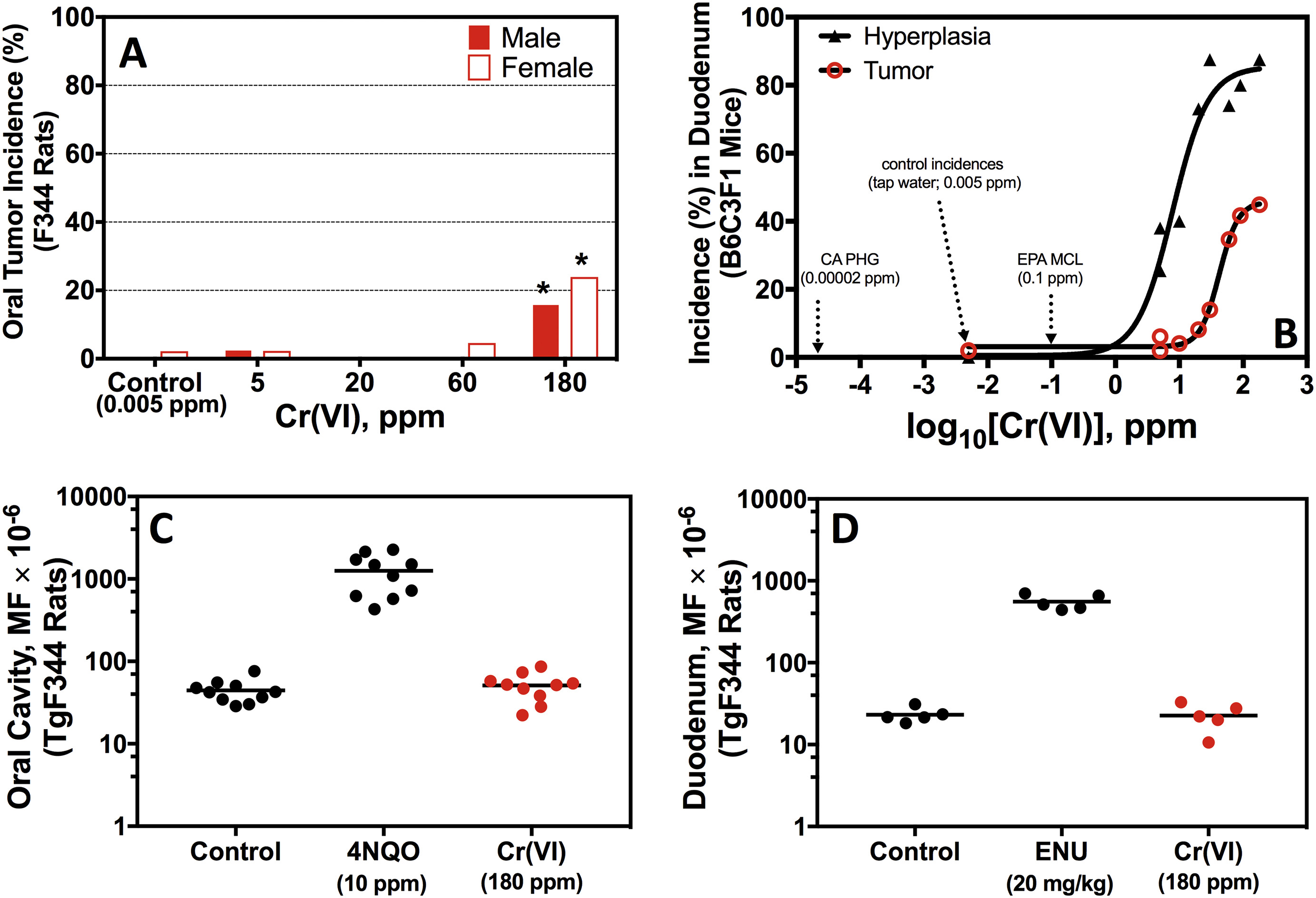 Assessment of the mutagenic potential of hexavalent chromium in the duodenum of big blue® rats